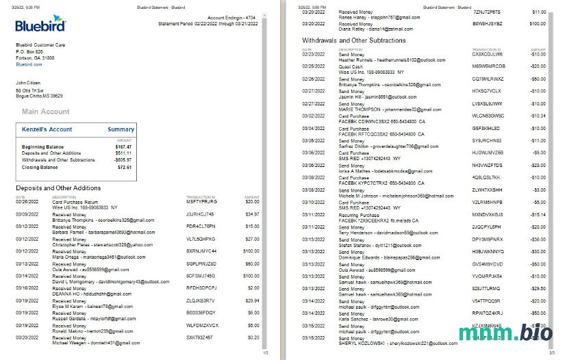 Pierwszy szablon wyciągu bankowego w USA Bay w programie Word i PDF